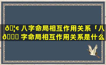 🦢 八字命局相互作用关系「八 🐅 字命局相互作用关系是什么」